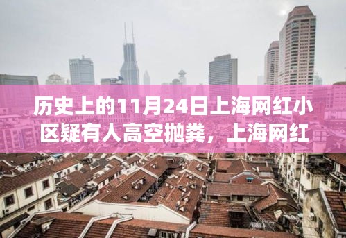 上海网红小区高空抛粪事件背后的暖心故事与特殊日常回顾