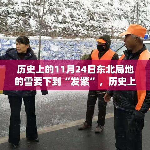 历史上的11月24日东北雪情深度解析，体验一场发紫的冬雪奇缘