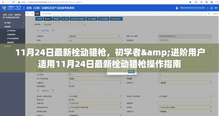 初学者与进阶用户适用的最新栓动猎枪操作指南（11月24日版）