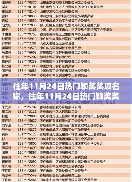 往年11月24日热门颖奖全面评测，特性、体验、对比与深度分析报告揭晓！