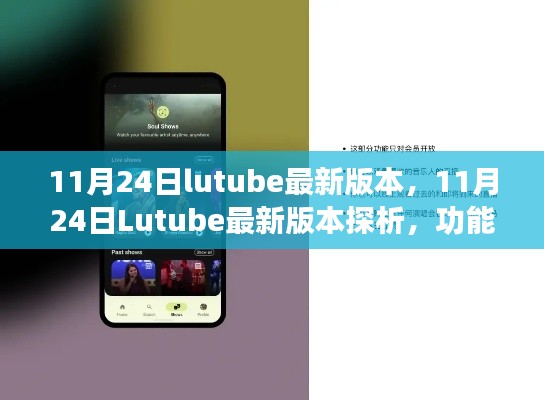 11月24日Lutube最新版本探析，功能革新与用户体验详解