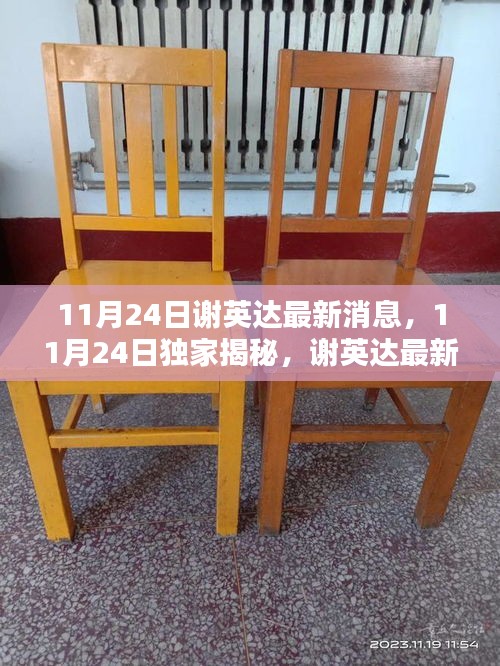 独家揭秘，谢英达最新动态与资讯速递（11月24日更新）