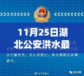湖北公安洪水应对之策，最新消息引发的深度思考
