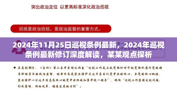 深度解读，2024年巡视条例最新修订及某某观点探析