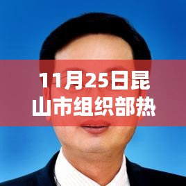 昆山市组织部公示系统评测报告，揭秘热门公示系统的运作与成效（XXXX年XX月XX日）