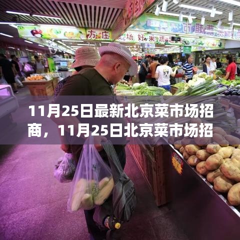 北京菜市场招商启幕，探索自然美景，寻找内心平和的宁静之旅