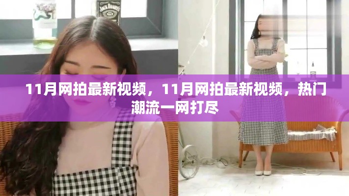11月网拍最新视频大放送，热门潮流一网打尽