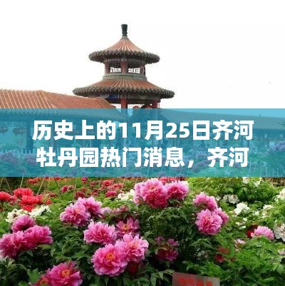 探寻齐河牡丹园的历史重要时刻与影响，热门消息回顾，11月25日齐河牡丹园揭秘