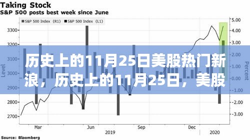 历史上的11月25日，美股新浪波澜壮阔的一天