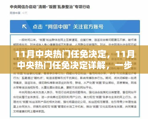 揭秘11月中央热门任免决定，决策过程详解与公众参与指南