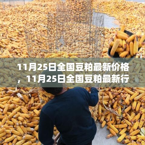 全国豆粕最新行情动态，价格走势分析与市场趋势预测（11月25日）