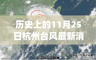 历史上的11月25日杭州台风对航空业的影响及最新解读