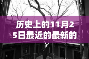 文贵天成 第5页