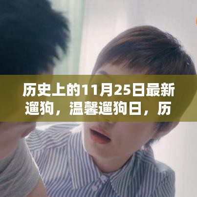 温馨遛狗日，历史上的11月25日的快乐时光
