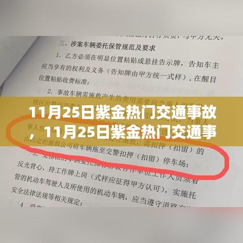 11月25日紫金热门交通事故深度解析与探讨