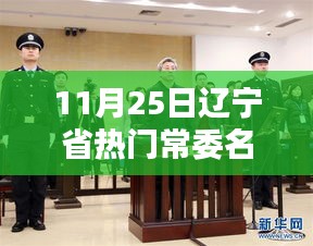辽宁省热门常委名单详解，涉政问题的揭秘与步骤指南（初学者与进阶用户皆适用）