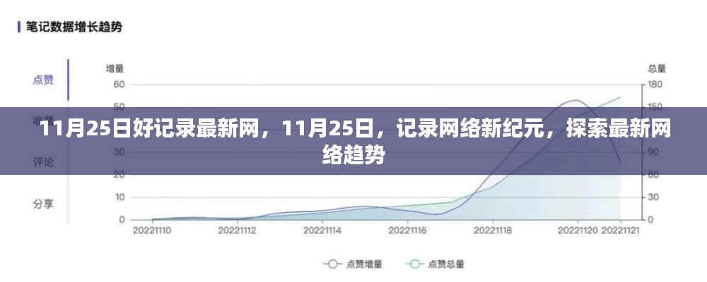 11月25日探索最新网络趋势，记录网络新纪元