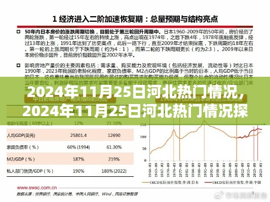 2024年11月25日河北热门情况深度解析，观点阐述与多维度分析