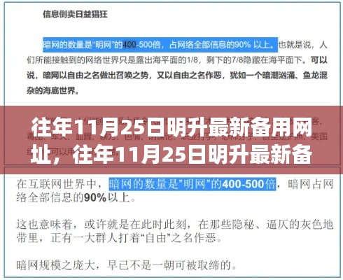 往年11月25日明升最新备用网址探讨，个人立场与违法犯罪问题