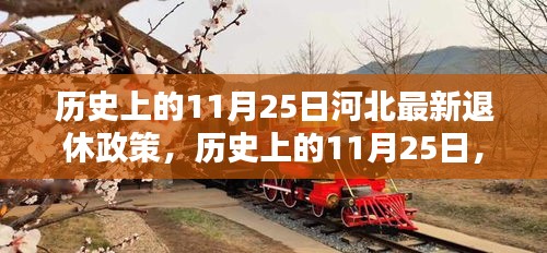 历史上的11月25日河北最新退休政策，历史上的11月25日，河北最新退休政策深度解析