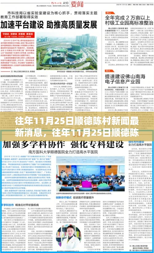 往年11月25日顺德陈村新闻回顾与热点解析