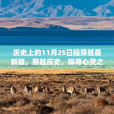 历史上的11月25日脑穿越最新版，穿越历史，探寻心灵之旅，11月25日的自然美景大冒险