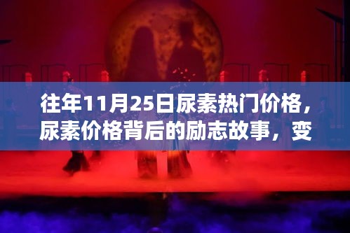 支付方式说明 第224页