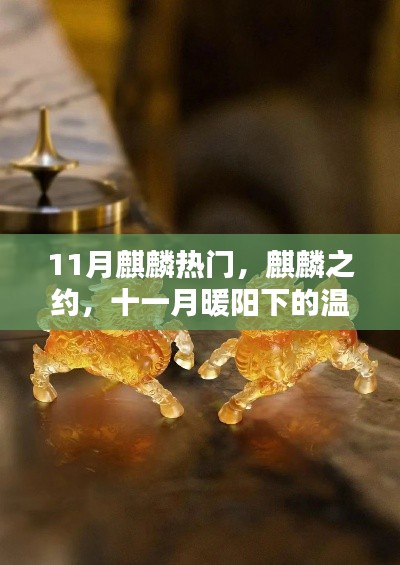 11月麒麟热门，麒麟之约，十一月暖阳下的温情日常