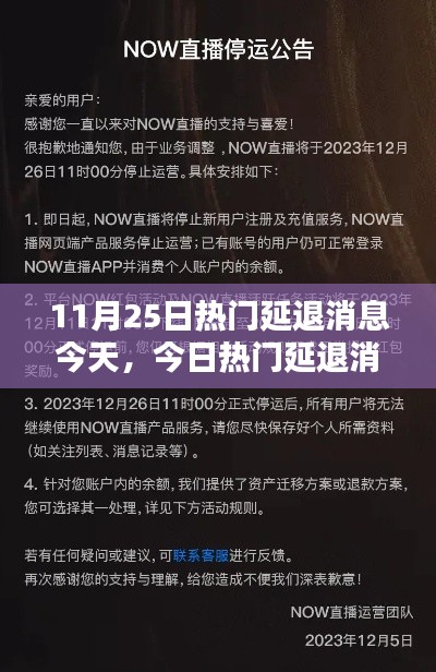 今日热门延退消息详解，解析与操作指南（适合全级别用户）