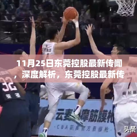 11月25日东莞控股最新传闻，深度解析，东莞控股最新传闻与产品特性体验报告
