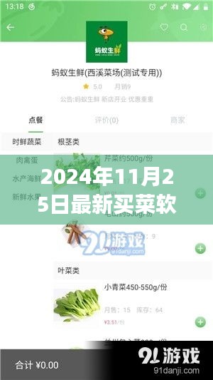 绿色篮子买菜软件，探索自然美景，启程心灵之旅的新起点（2024年1月）