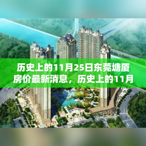 历史上的11月25日东莞塘厦房价最新消息，历史上的11月25日东莞塘厦房价最新消息——全面了解与购房指南