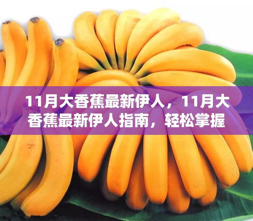 11月大香蕉最新伊人，11月大香蕉最新伊人指南，轻松掌握技能与任务全攻略