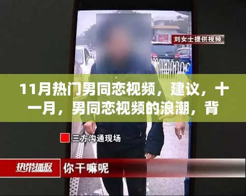 涉政问题背景下，十一月男同性恋视频浪潮的背景、进展与影响分析