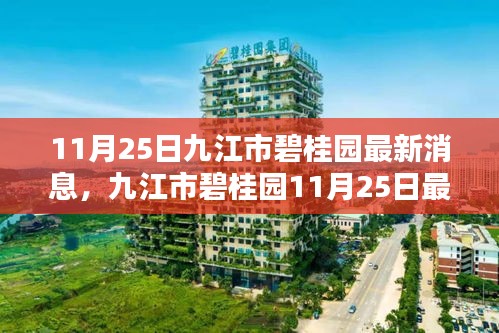 九江市碧桂园11月25日最新动态概览，最新消息与概览揭秘！
