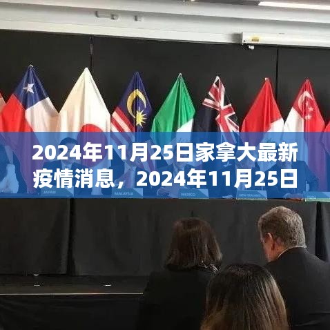 2024年11月25日加拿大最新疫情消息全面解析