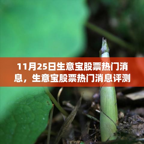 生意宝股票热门消息全面解析，特性、体验、竞品对比及用户群体深度分析