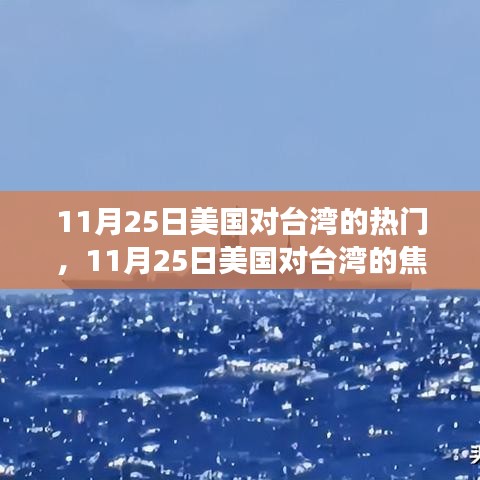 支付方式说明 第221页