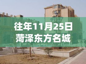 菏泽东方名城房价背后的故事，友情与家的奇妙旅程在温馨冬日揭晓