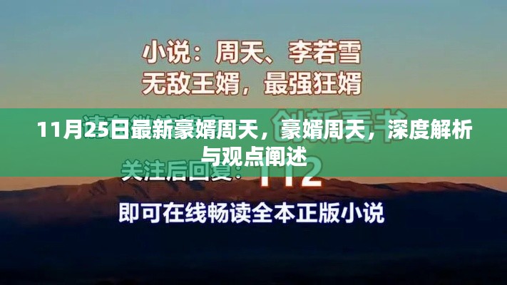 豪婿周天深度解析与观点阐述，最新解读揭秘