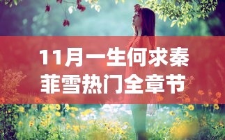 与秦菲雪共赴11月自然盛宴，追寻内心的宁静之旅