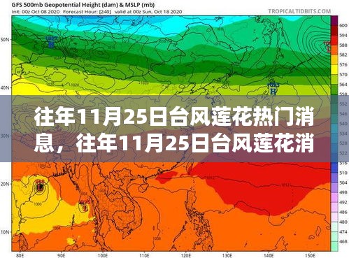 往年11月25日台风莲花关注指南，如何快速获取资讯并做好应对准备
