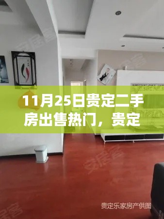 贵定二手房市场测评，热门房源深度解析及市场趋势展望（11月25日）
