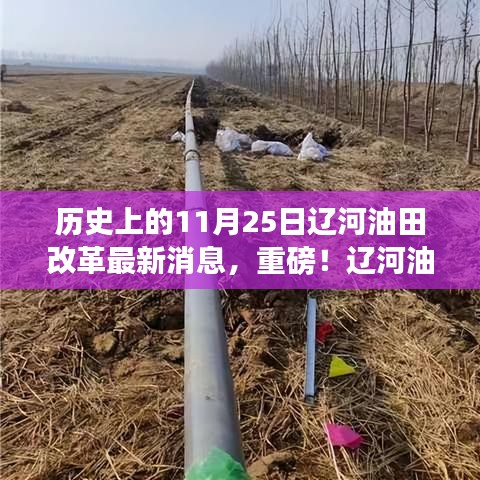 辽河油田改革动态更新，历史上的11月25日，油田转型迈入新征程的重大消息