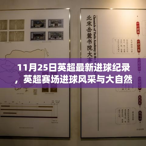 英超赛场进球风采与大自然怀抱，心灵之旅的进球纪录（11月25日）