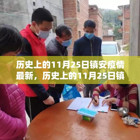 历史上的11月25日镇安疫情最新动态，深度分析与观点阐述