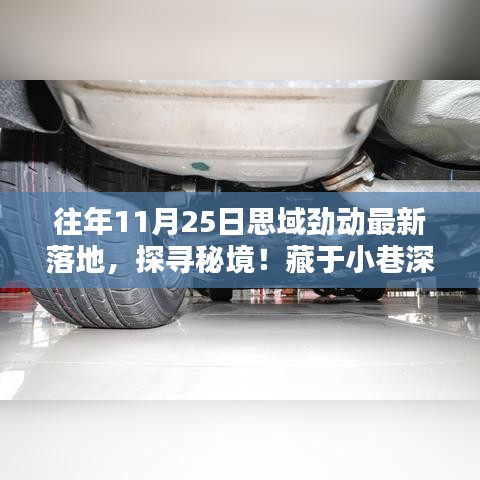 揭秘思域劲动新领地，秘境藏于小巷深处，独家探寻最新落地资讯！
