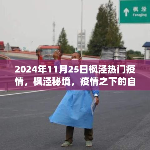枫泾疫情下的秘境之旅，探寻自然宁静港湾的旅程