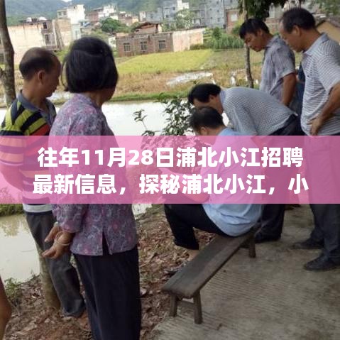 探秘浦北小江招聘最新信息，惊喜招聘与独特小店奇遇记在11月28日等你来发现！