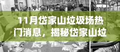 揭秘岱家山垃圾场，十一月热点聚焦